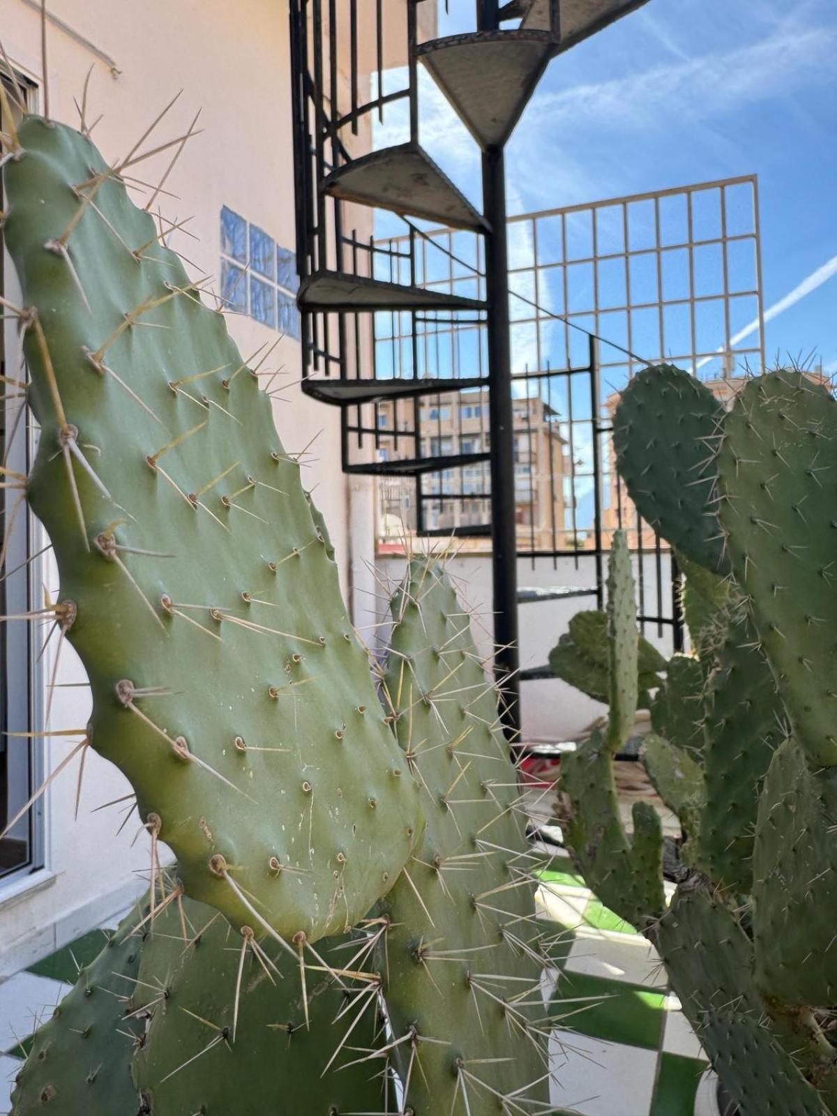 Appartamento Casa Bianca Vacanze Palermo Esterno foto